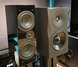 TrueSound - Narwhal - Full Range Hybrid Monitor Pair
